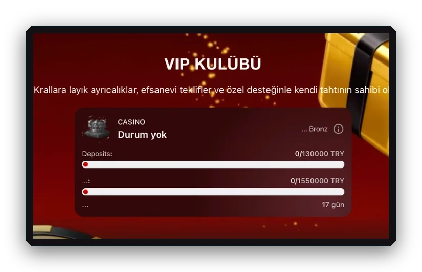 Düzen: seviye ilerleme kartı ve yatırım ilerleme çubuğu olan VIP Kulübü